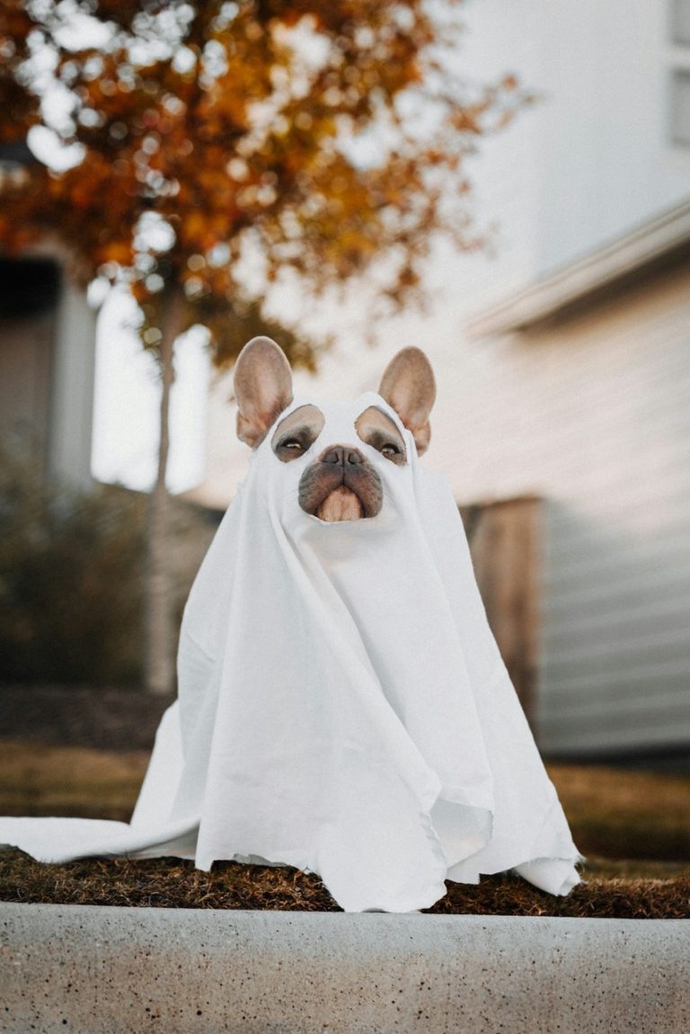 Fog, Haze and Smoke at Costume Events: What to Know